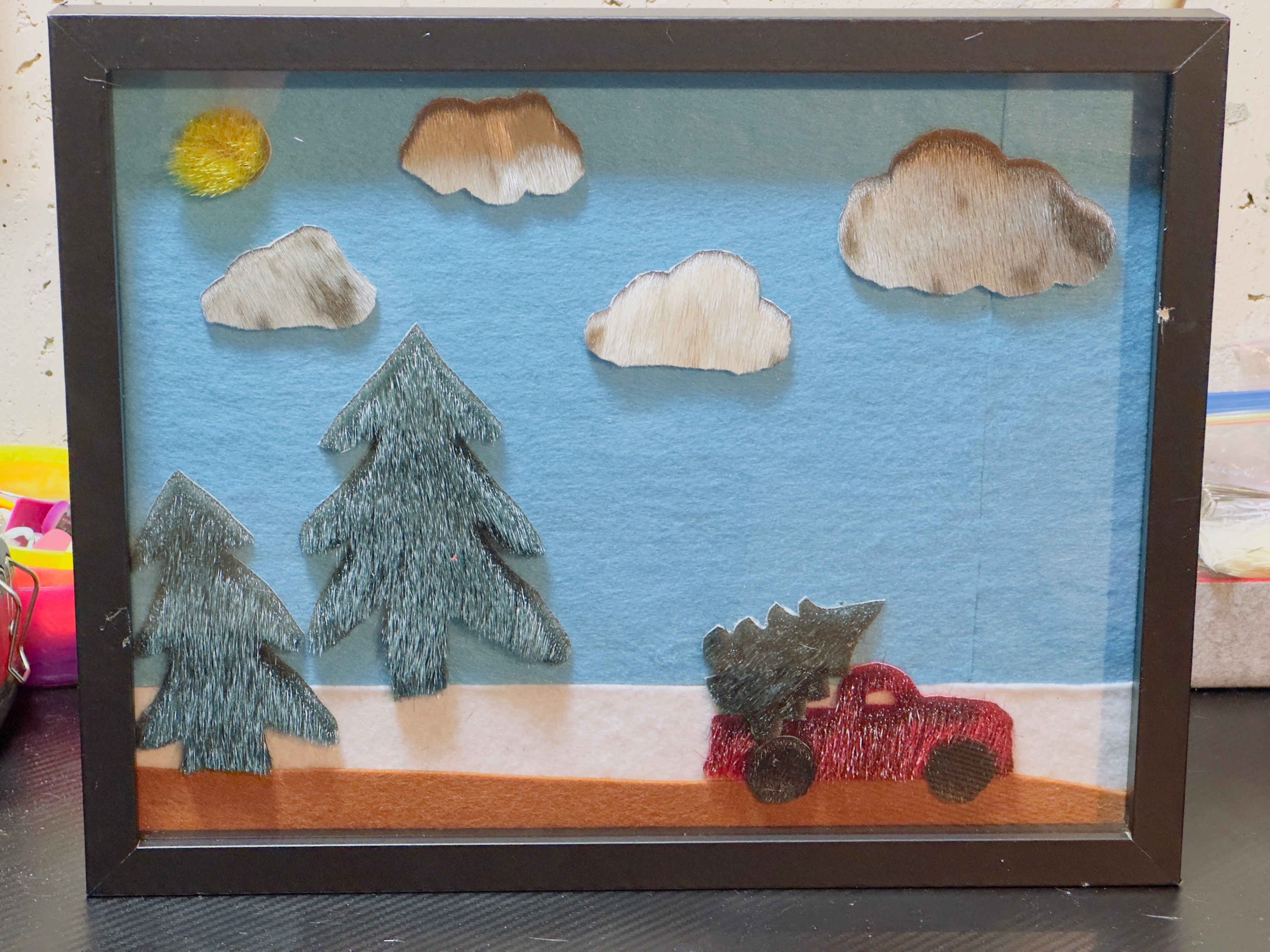 Sealskin Wall Art